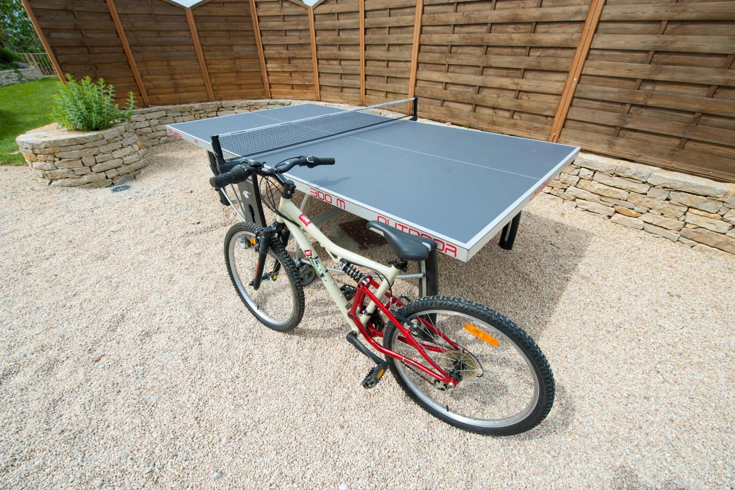 Table tennis and bicycle