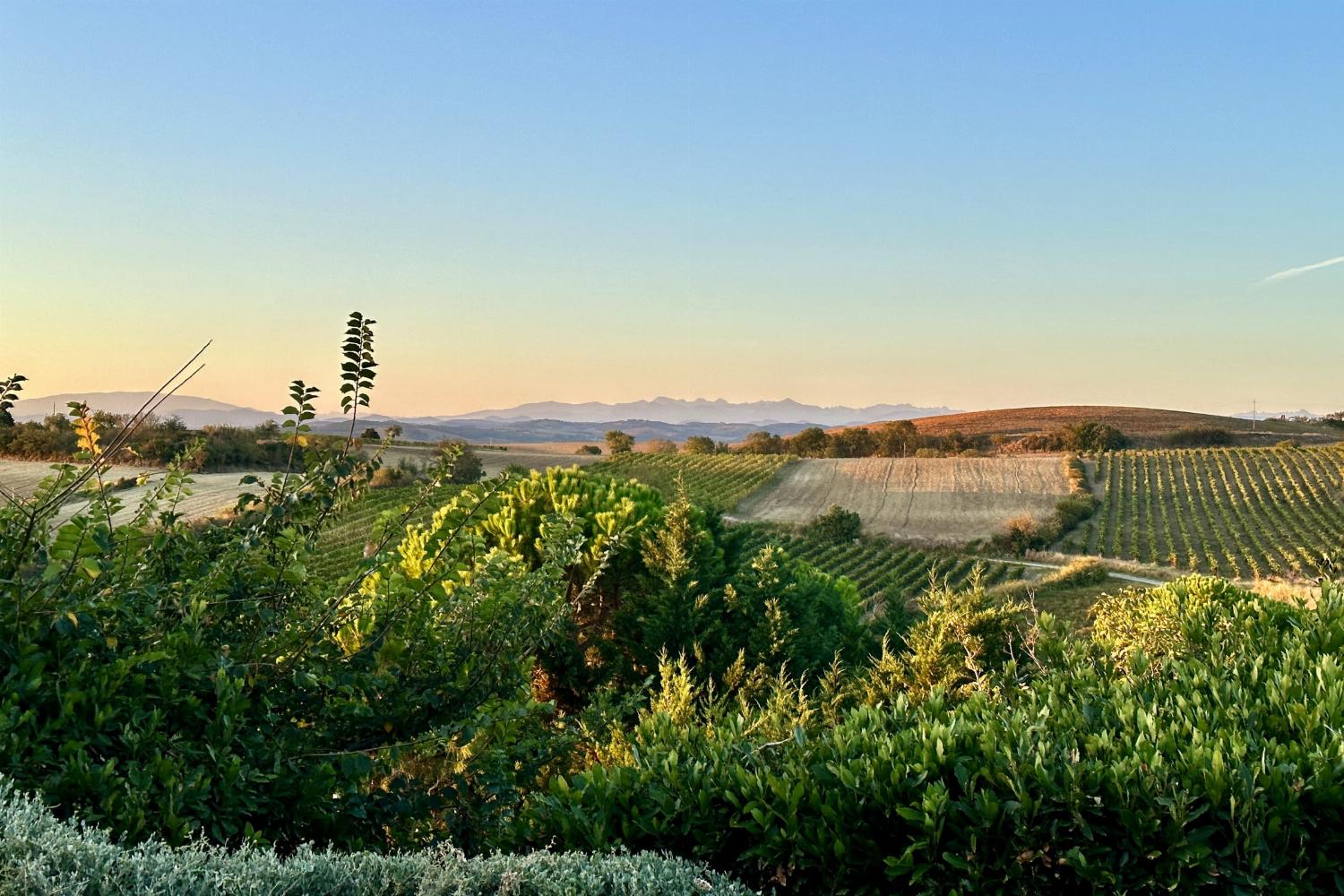 French countryside view