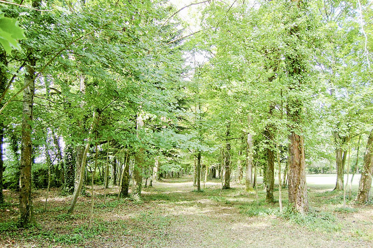 Garden | Rental château in Loire