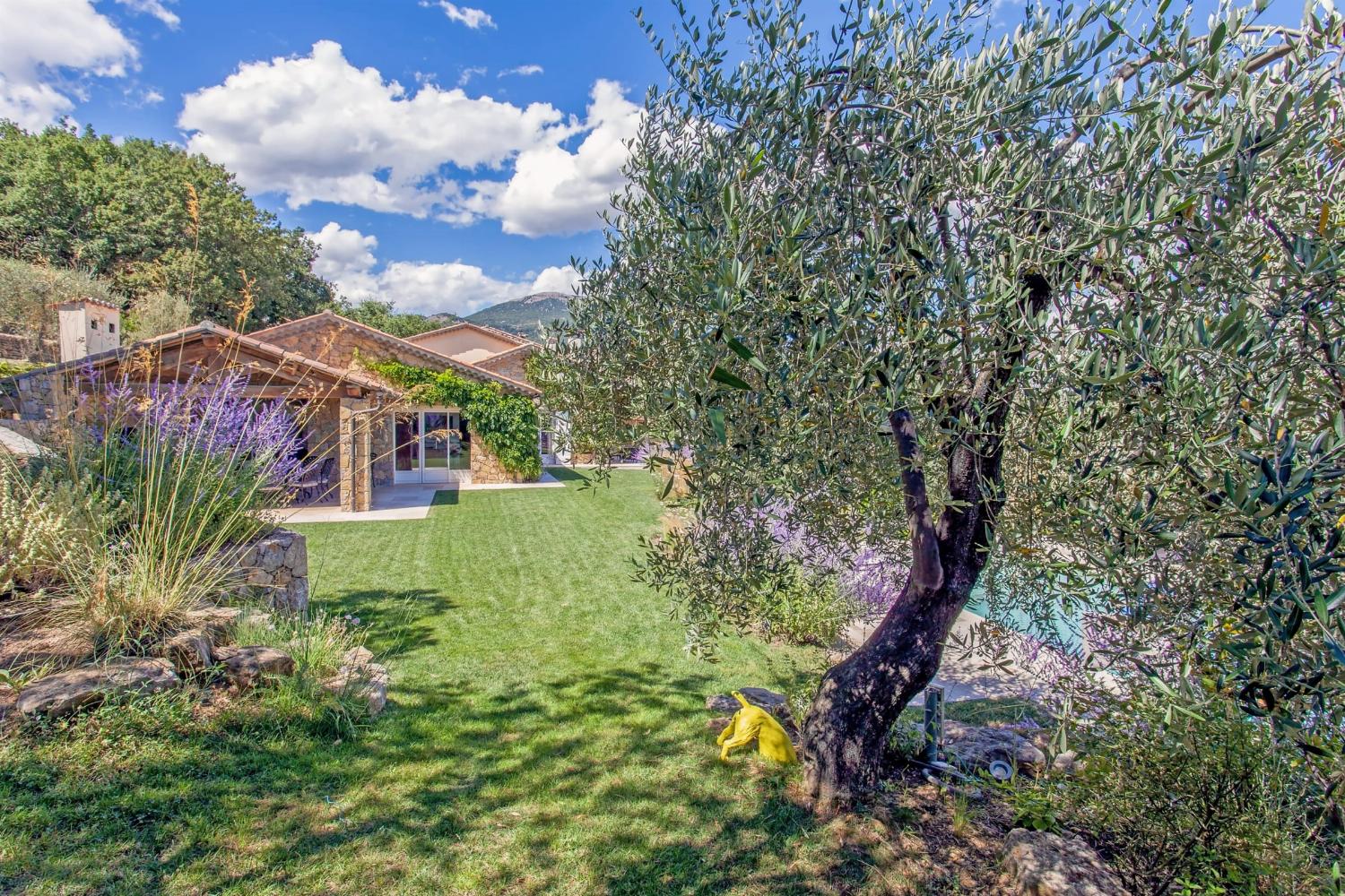 Garden | Holiday villa in Provence