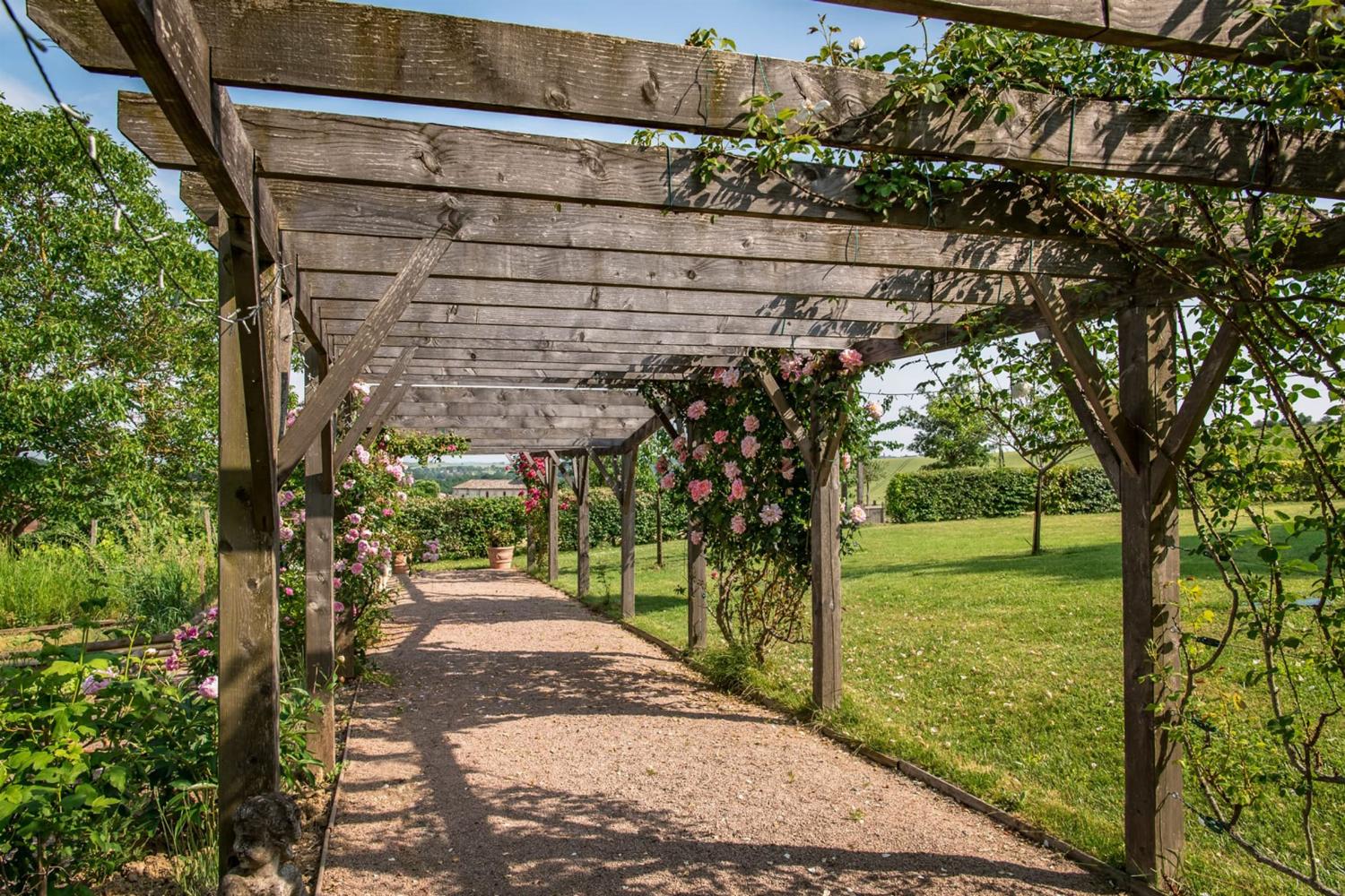 Garden in France | Holiday home in the Tarn