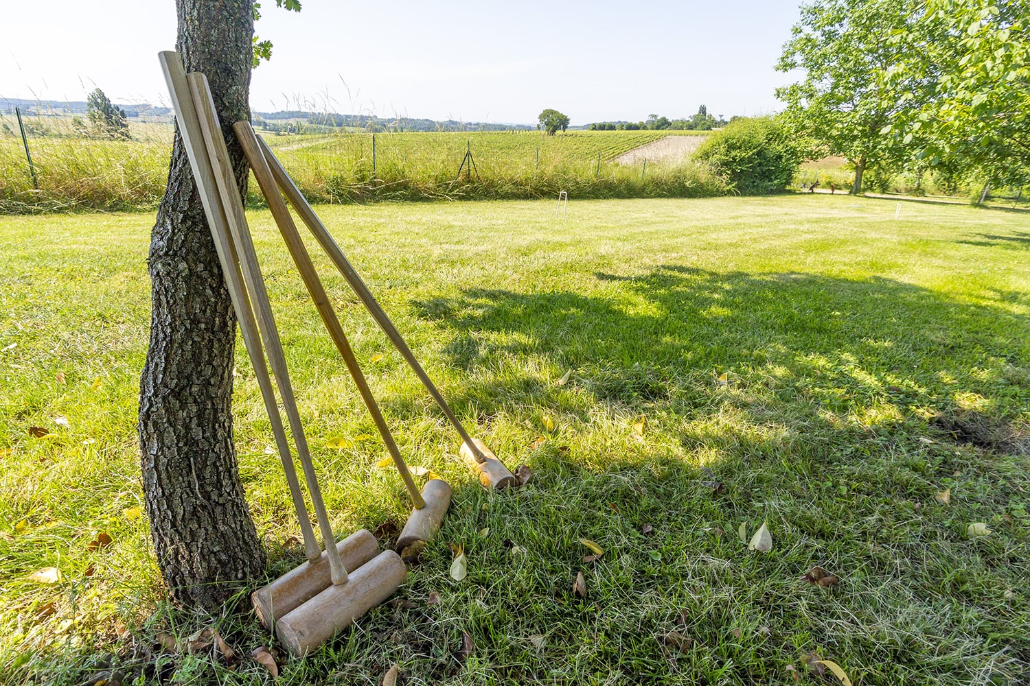 Croquet