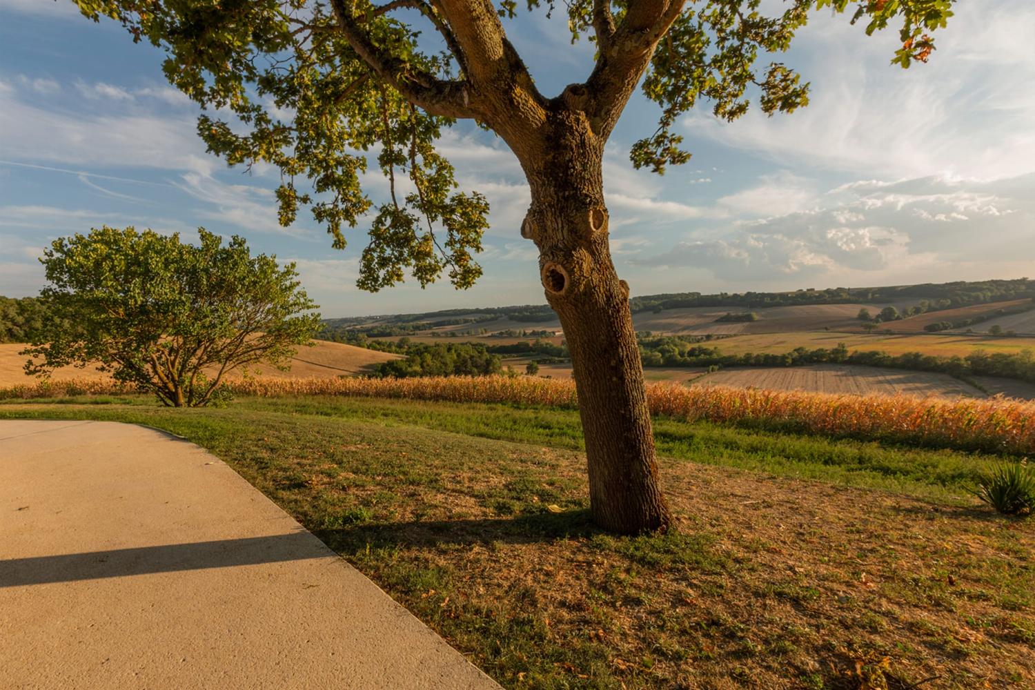 French countryside view