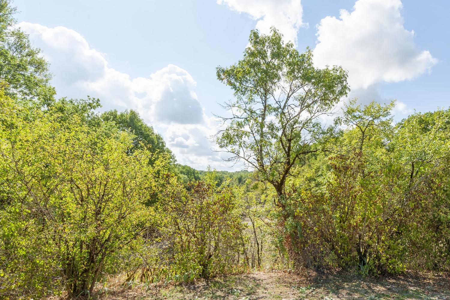 Garden | Rental home in Lot