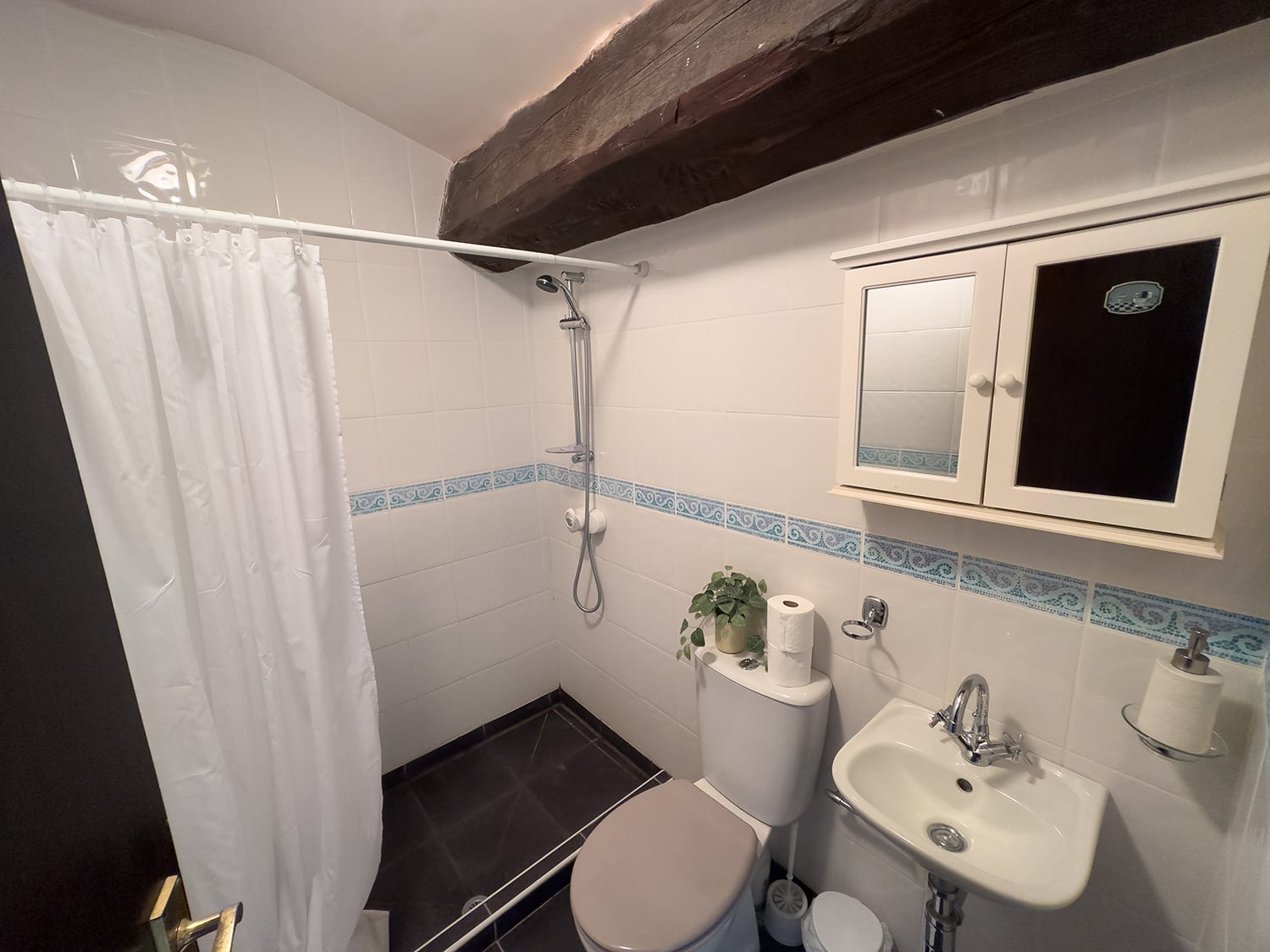 Bathroom | Holiday home near Fanjeaux