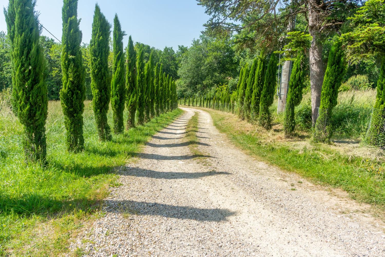 Driveway