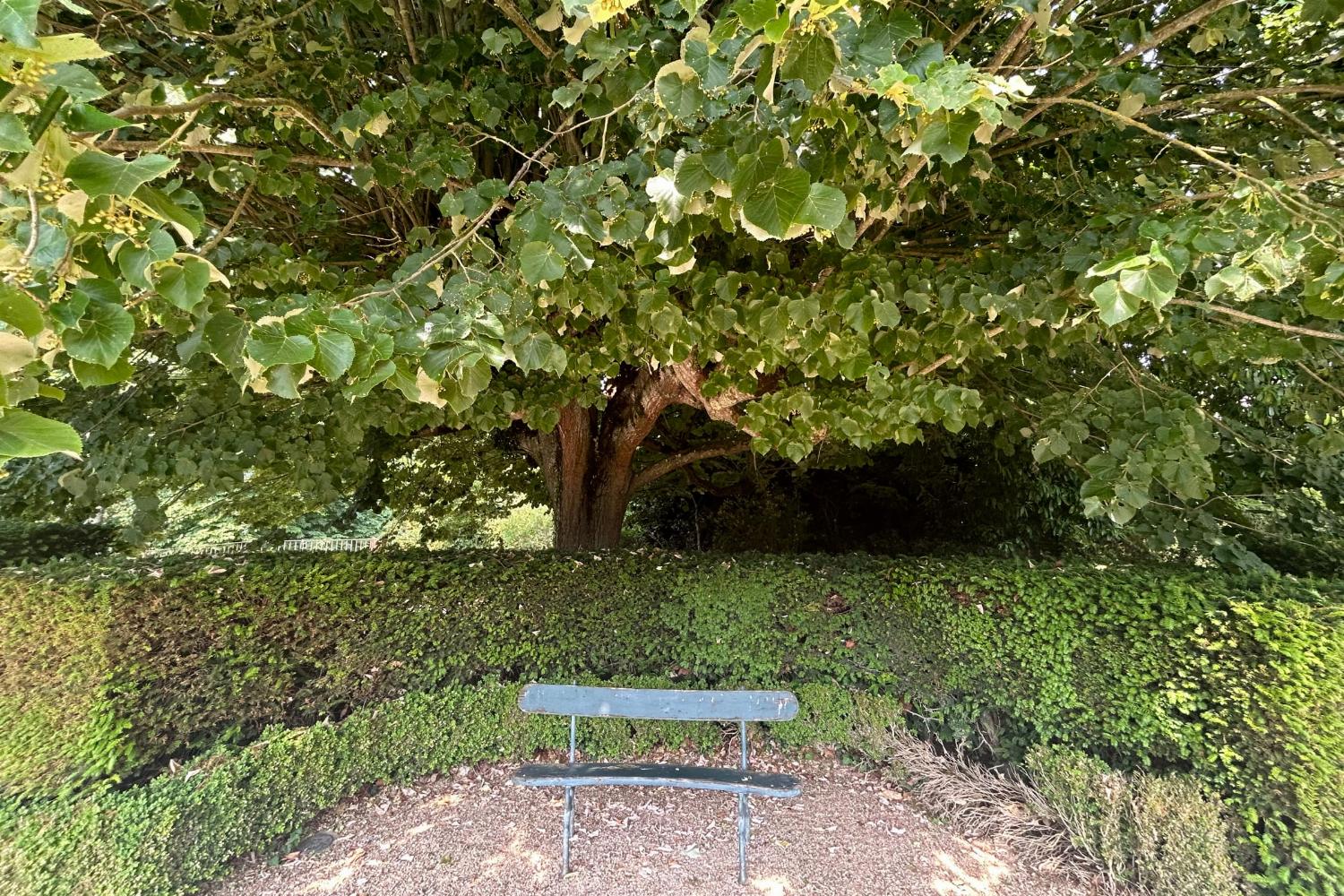 Garden | Holiday château in Burgundy