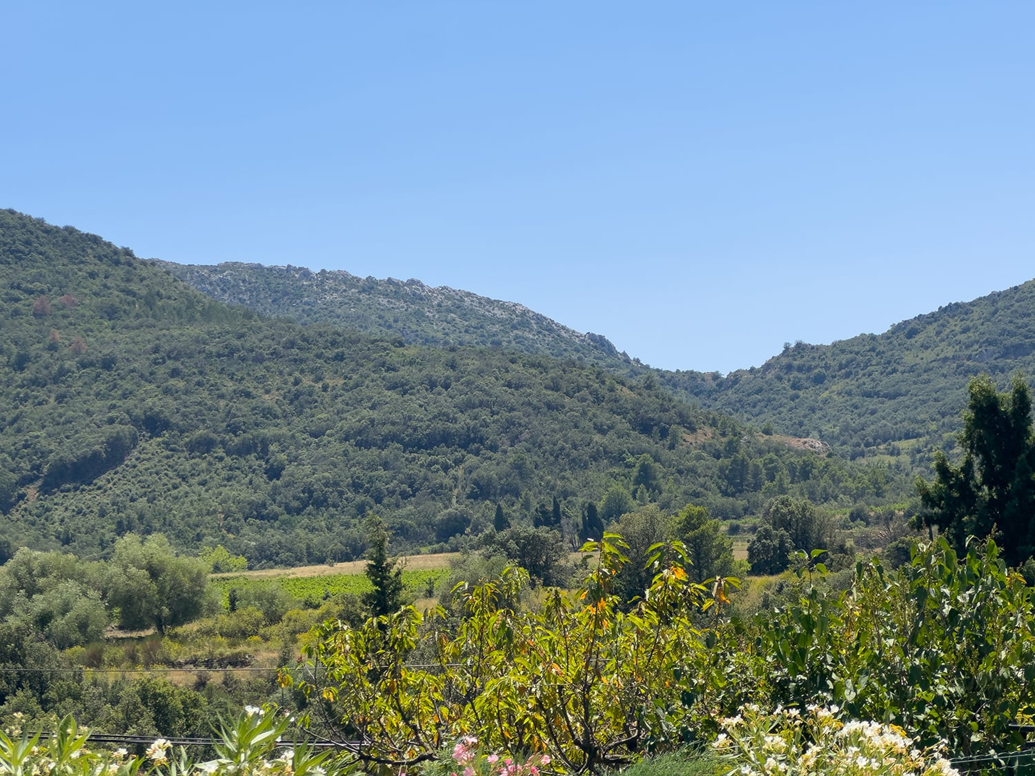 French countryside view