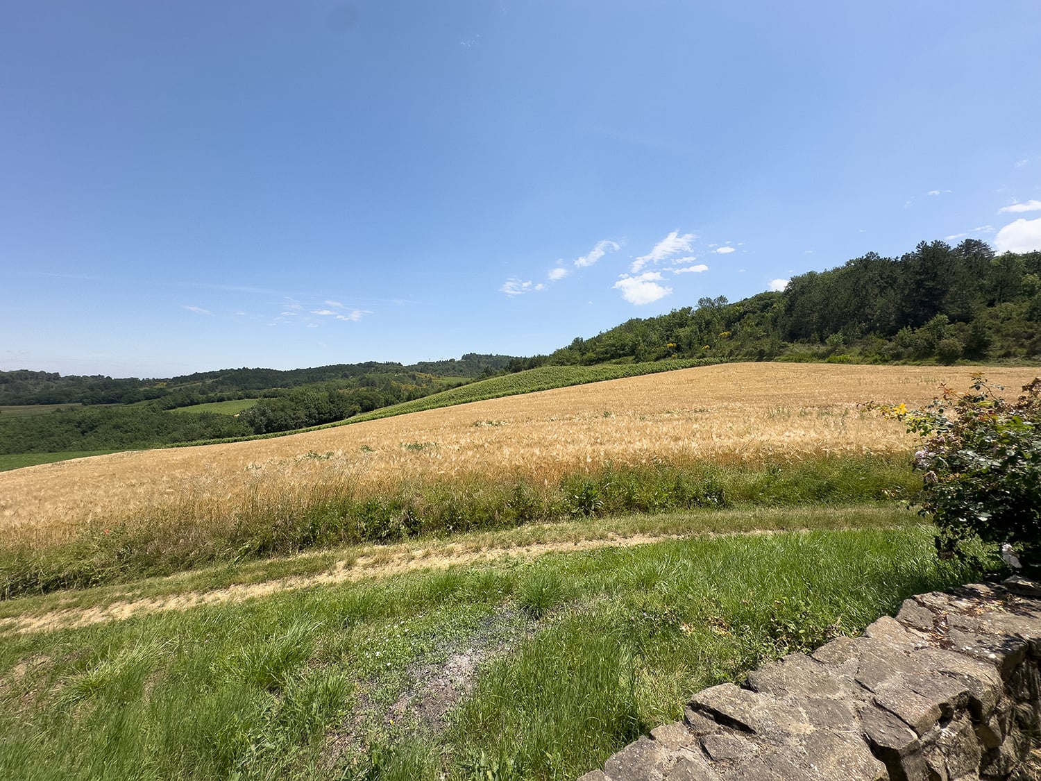 Languedoc countryside views