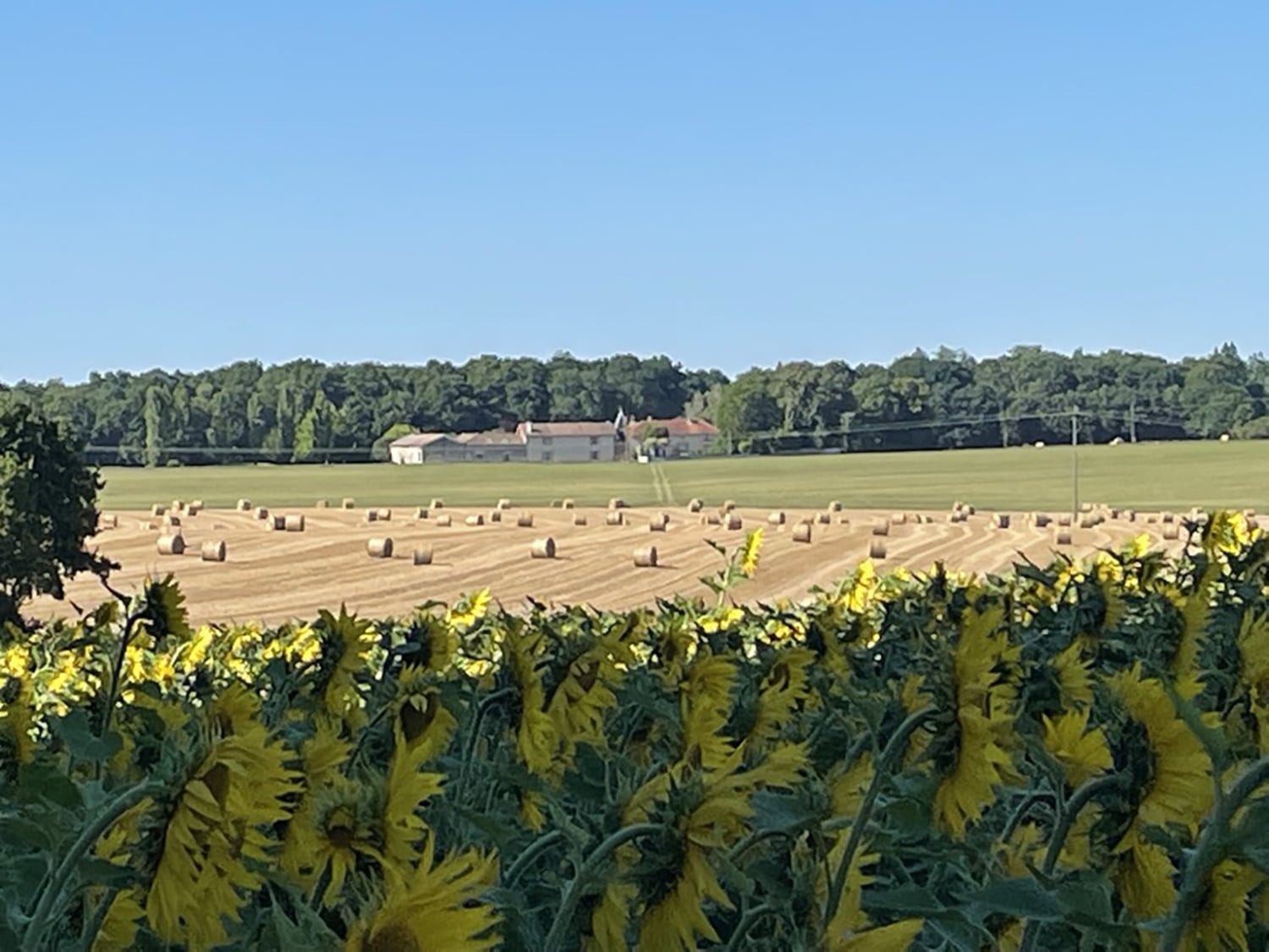 Countryside in Nouvelle-Aquitaine