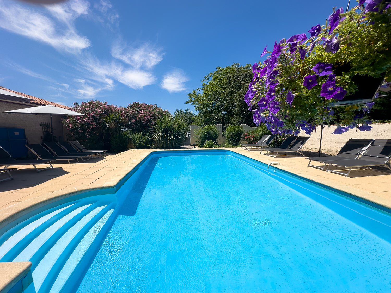 Private pool | Holiday home in Nouvelle-Aquitaine