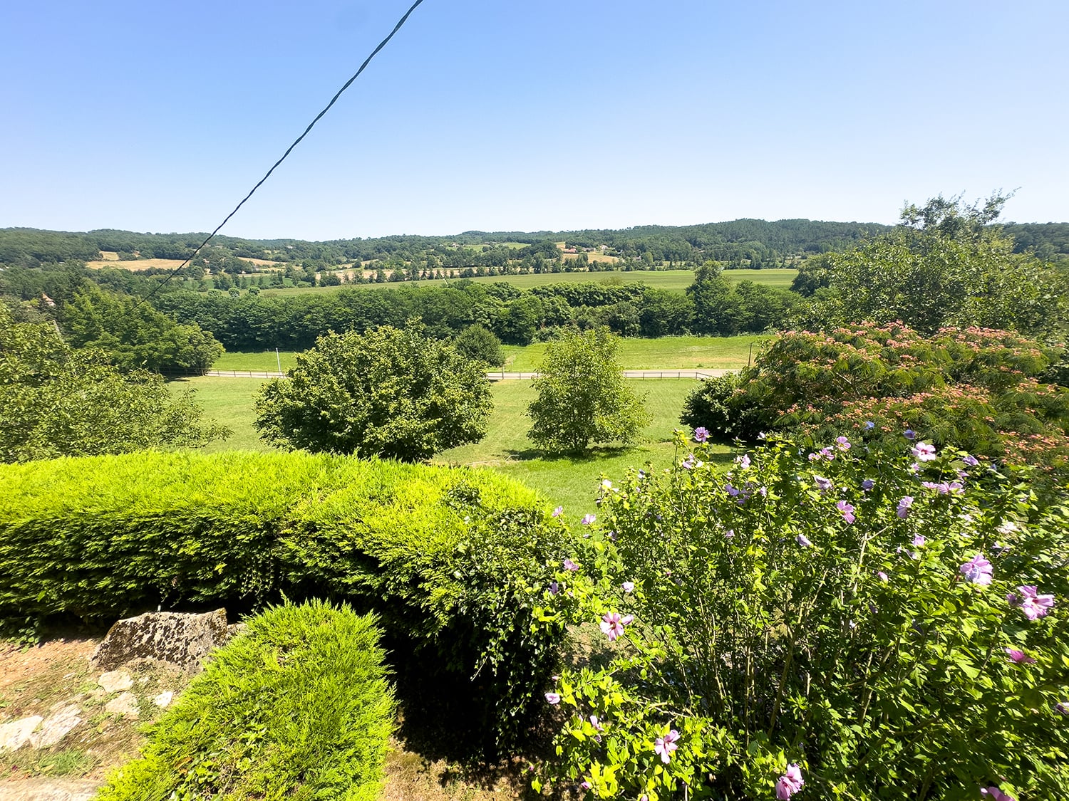 Garden and view