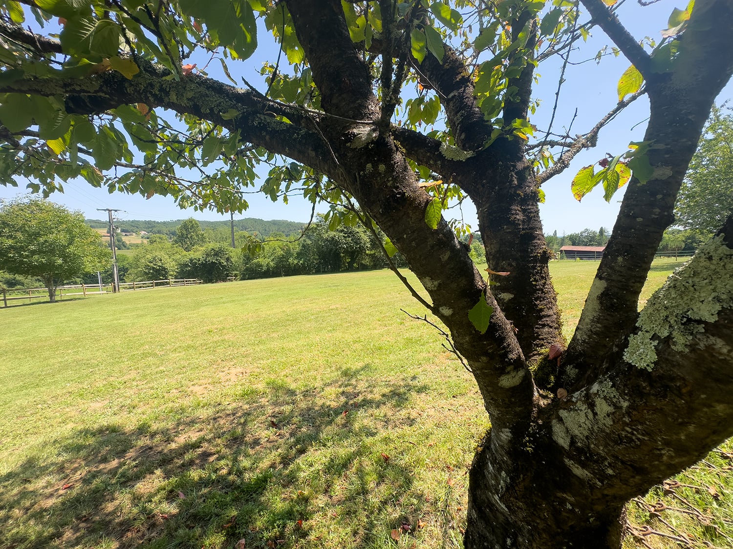 Lawned garden