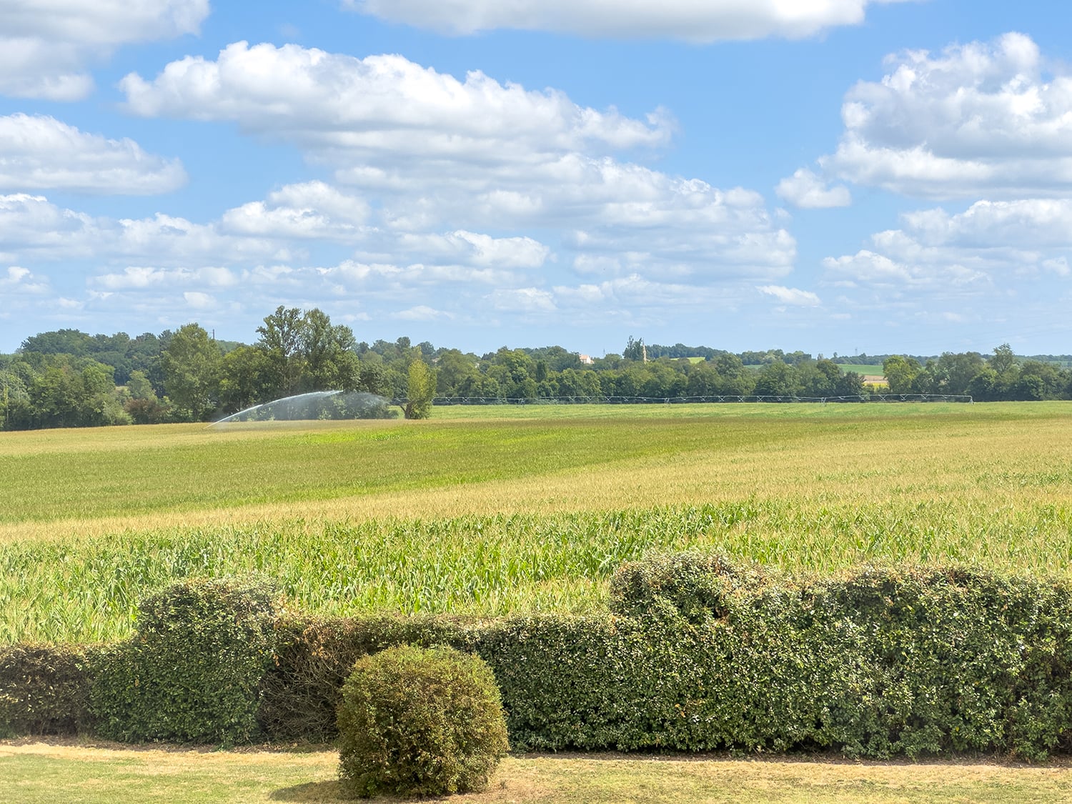 Countryside view