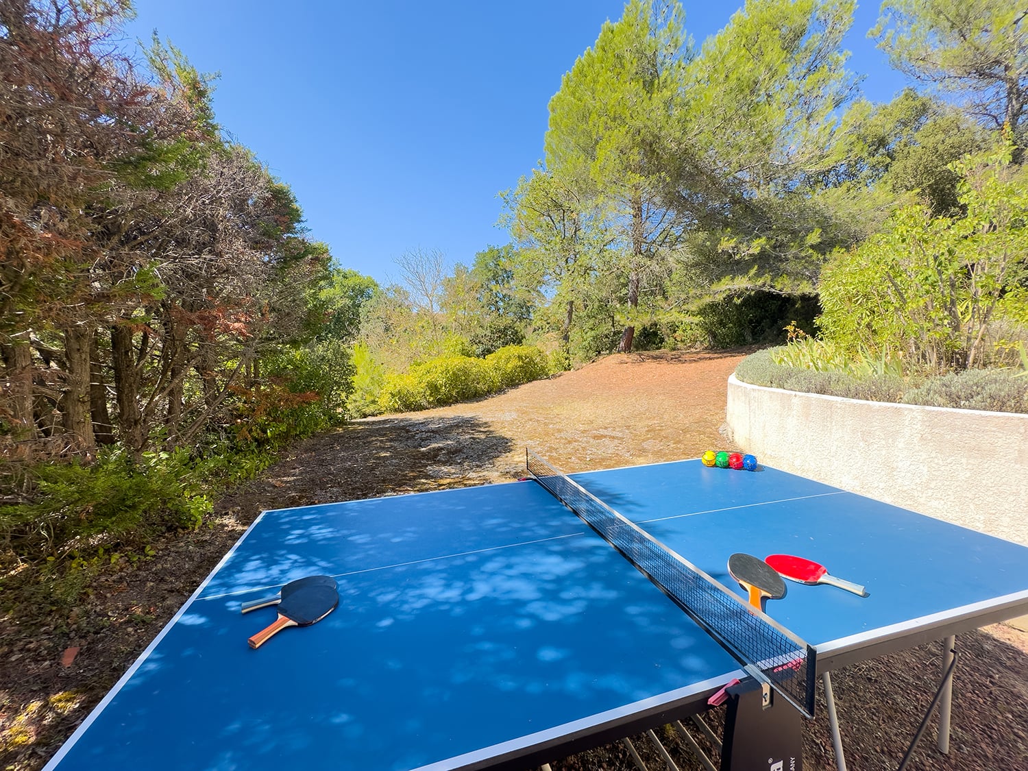 Table tennis