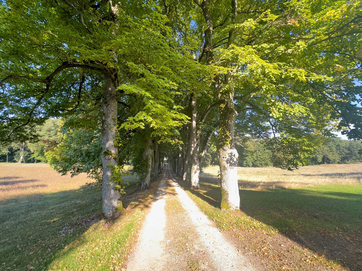 Château driveway