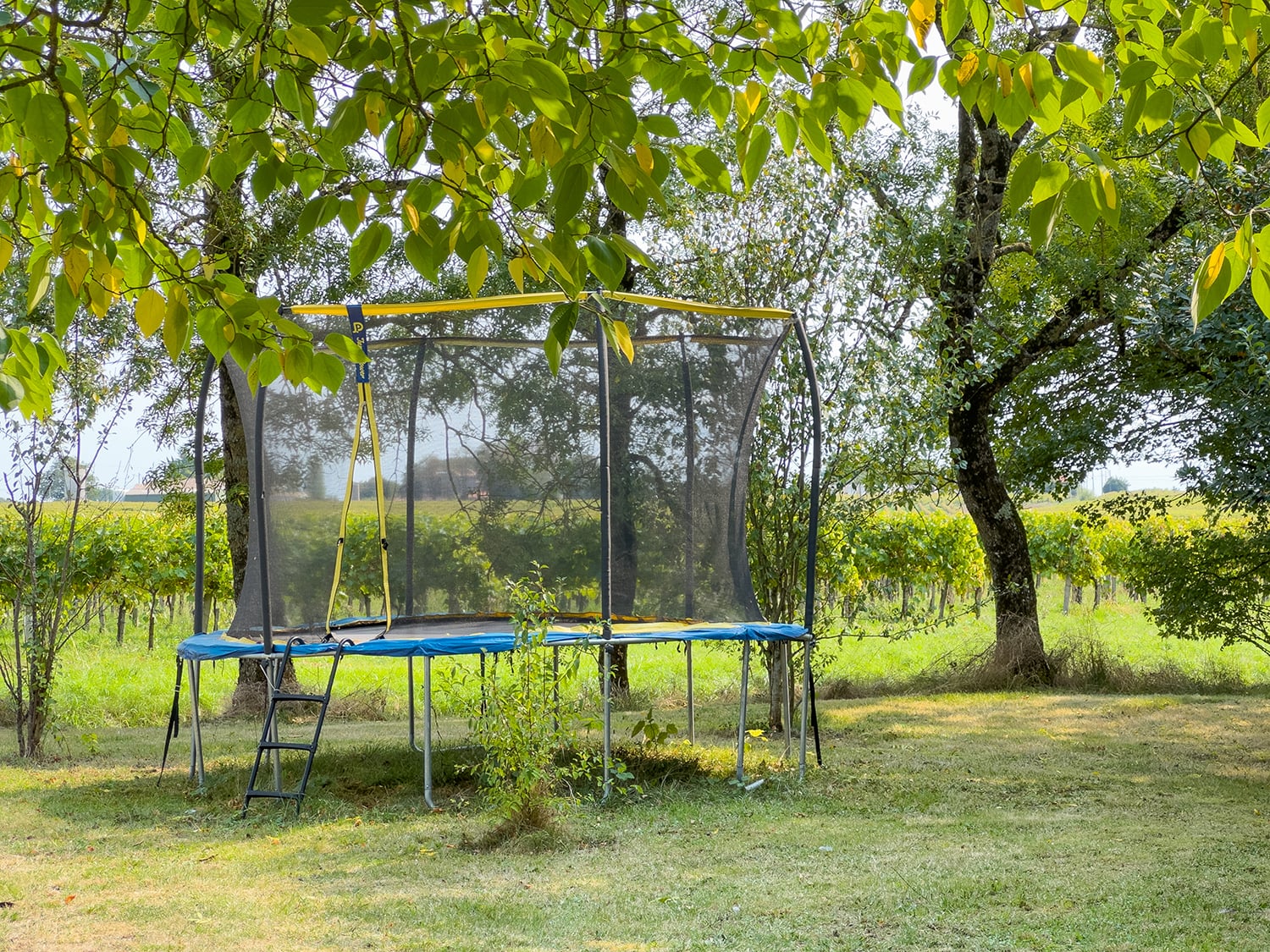 Trampoline