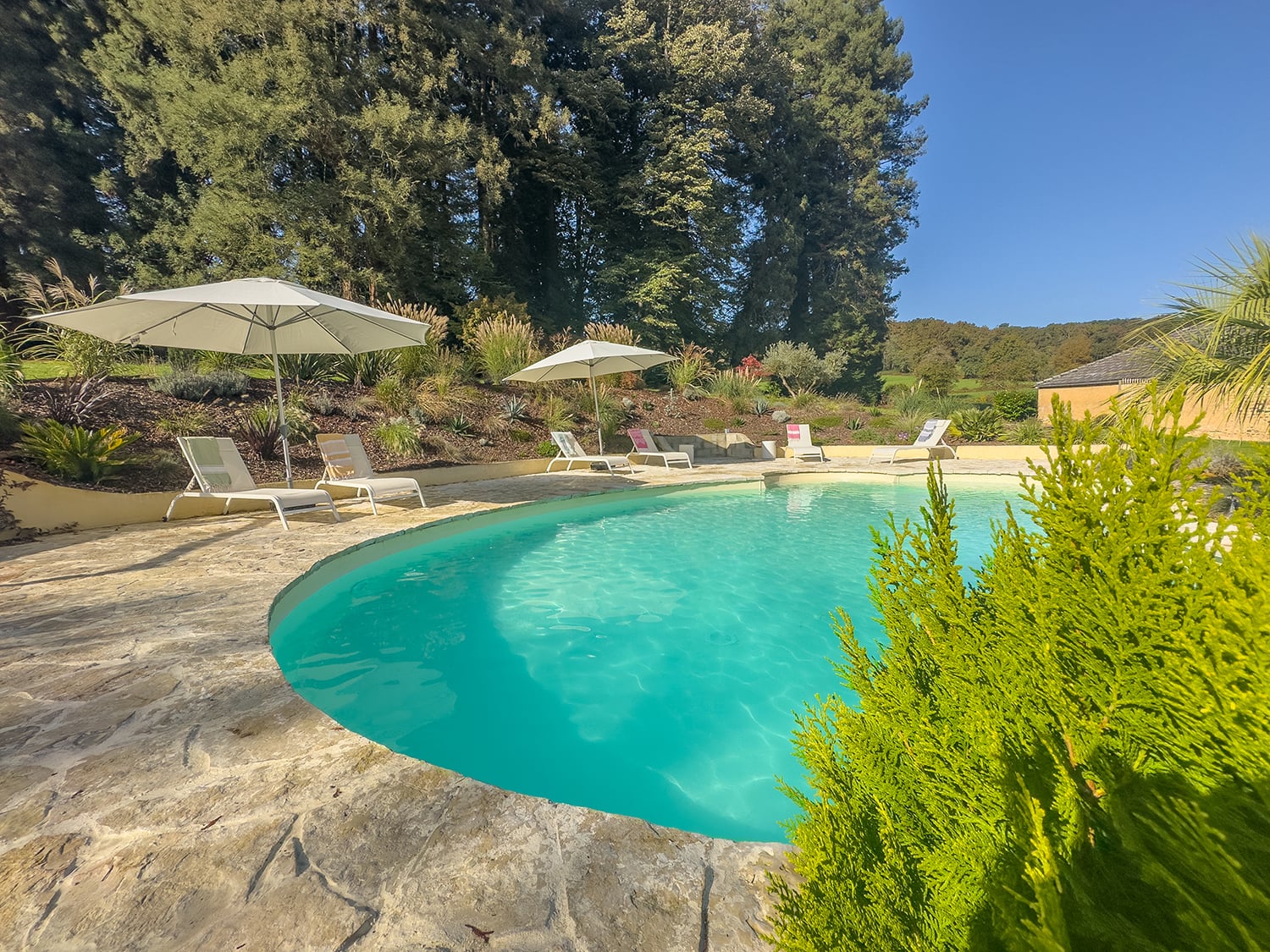 Provate pool | Holiday château in Nouvelle-Aquitaine, France