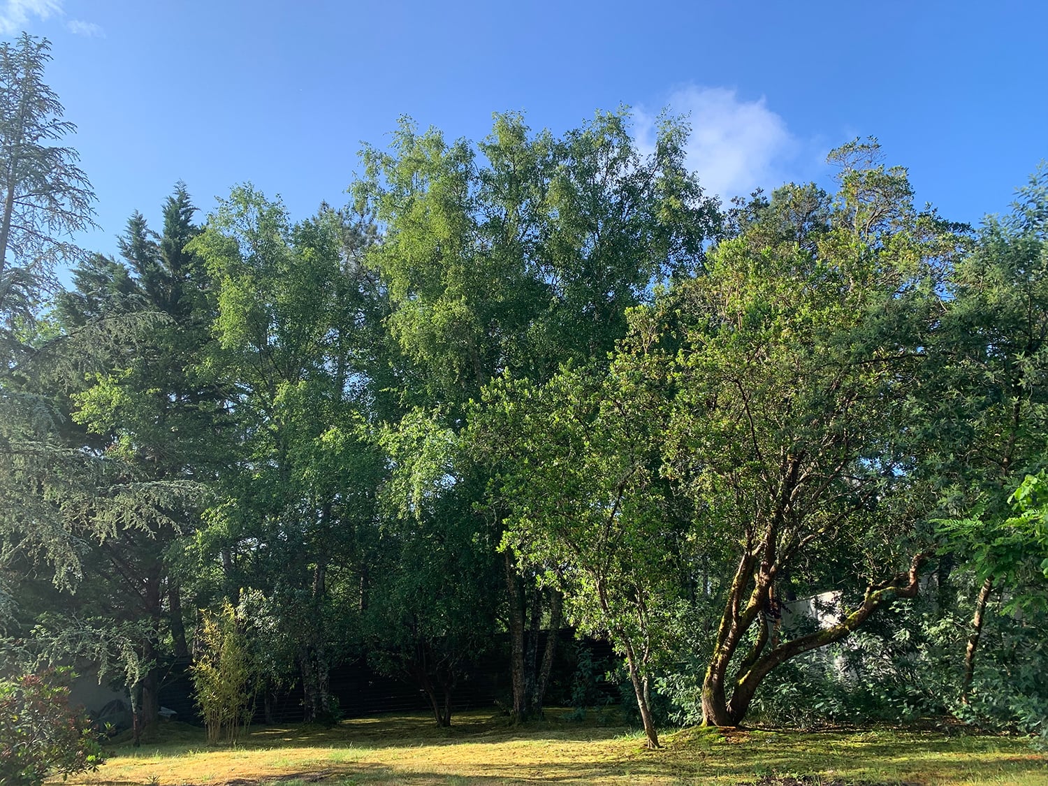 Garden | Holiday home in Nouvelle-Aquitaine