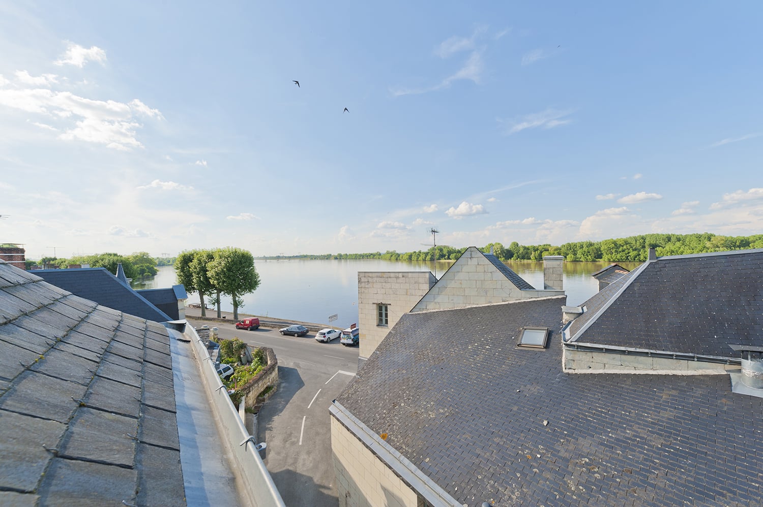 View of the Loire river