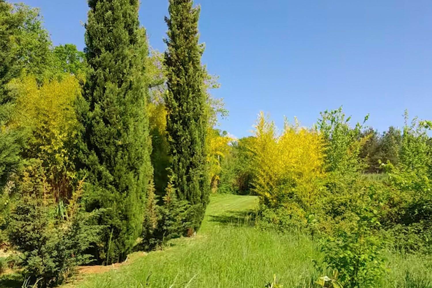 Garden | Holiday home in Nouvelle-Aquitaine