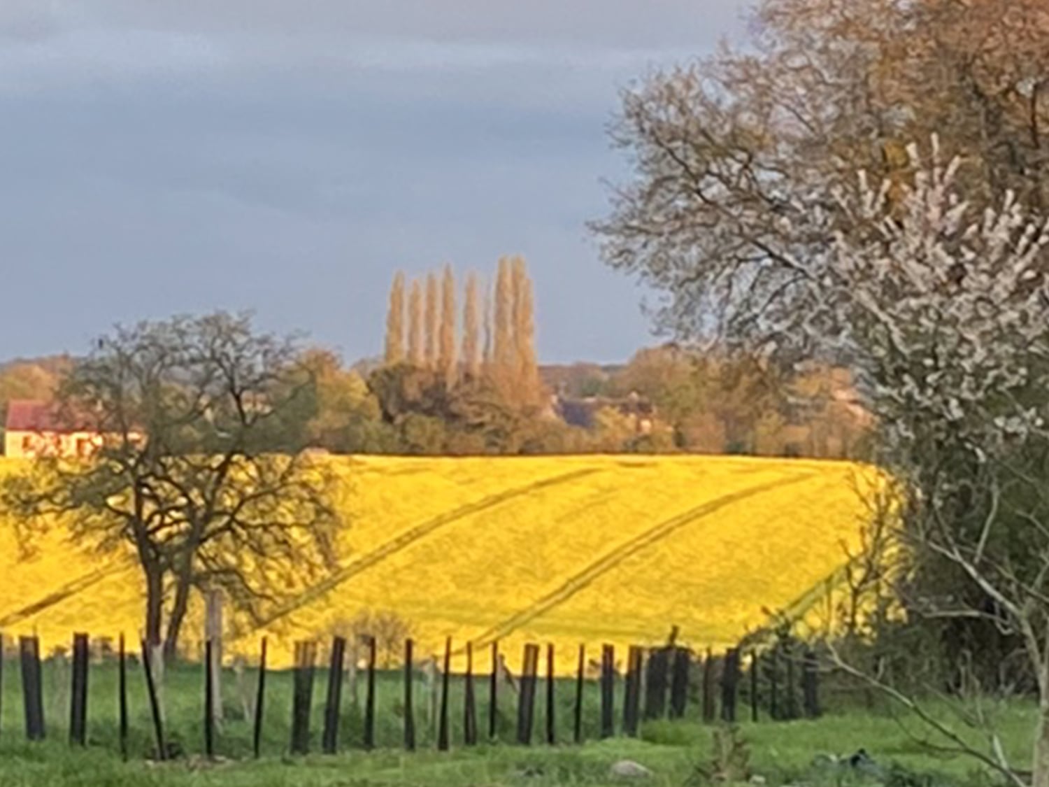 French countryside