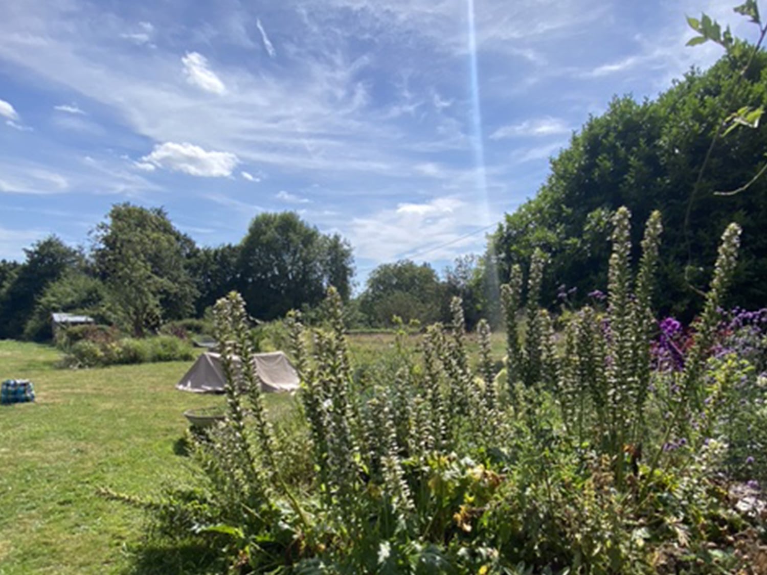 Garden | Holiday home in Normandie