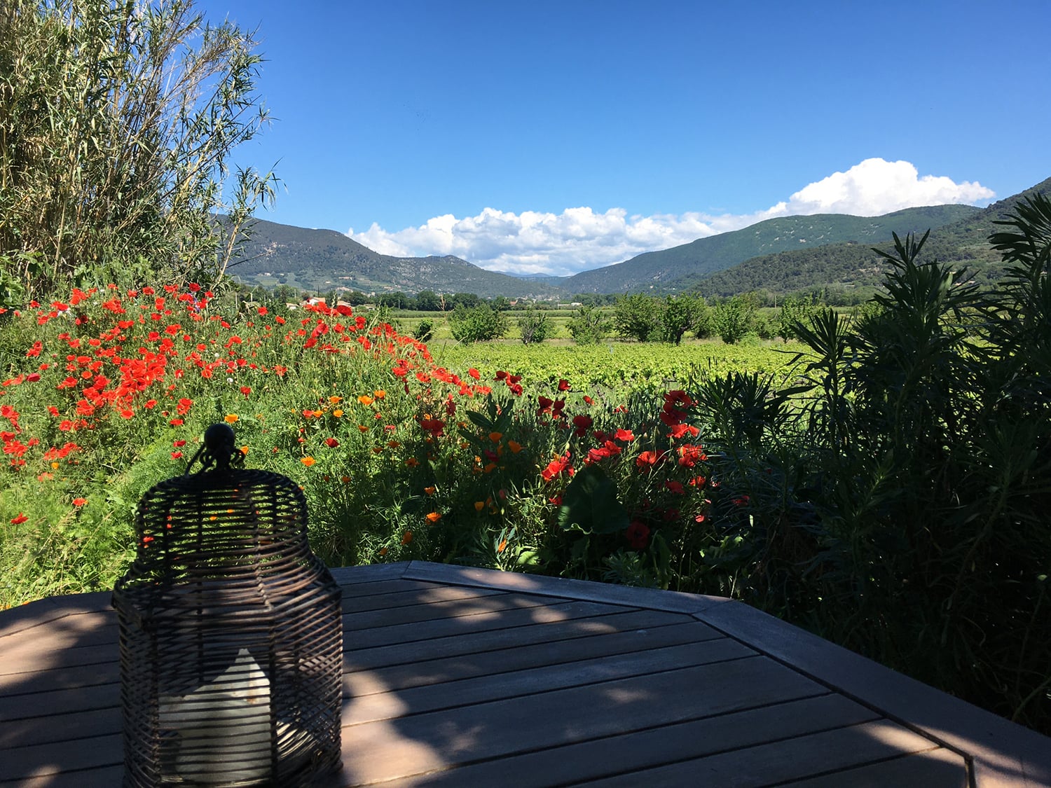 Garden | Holiday accommodation in Provence