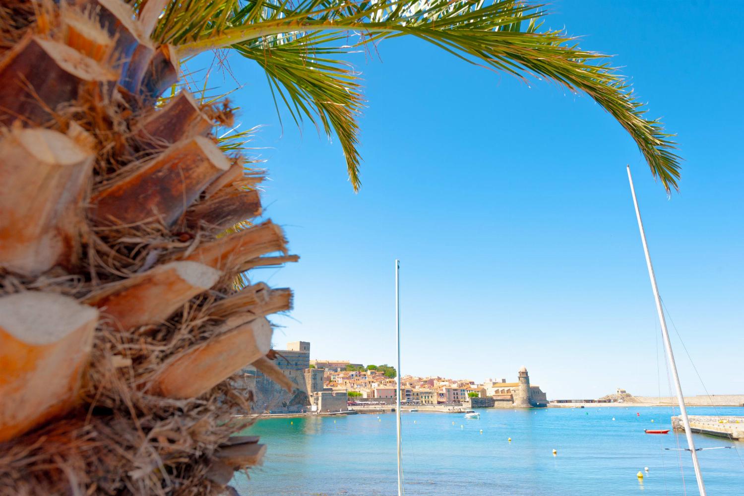 Collioure