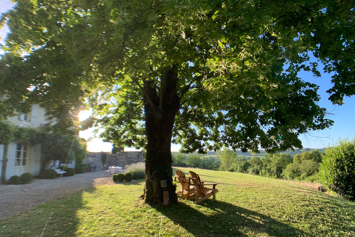 Lawned garden