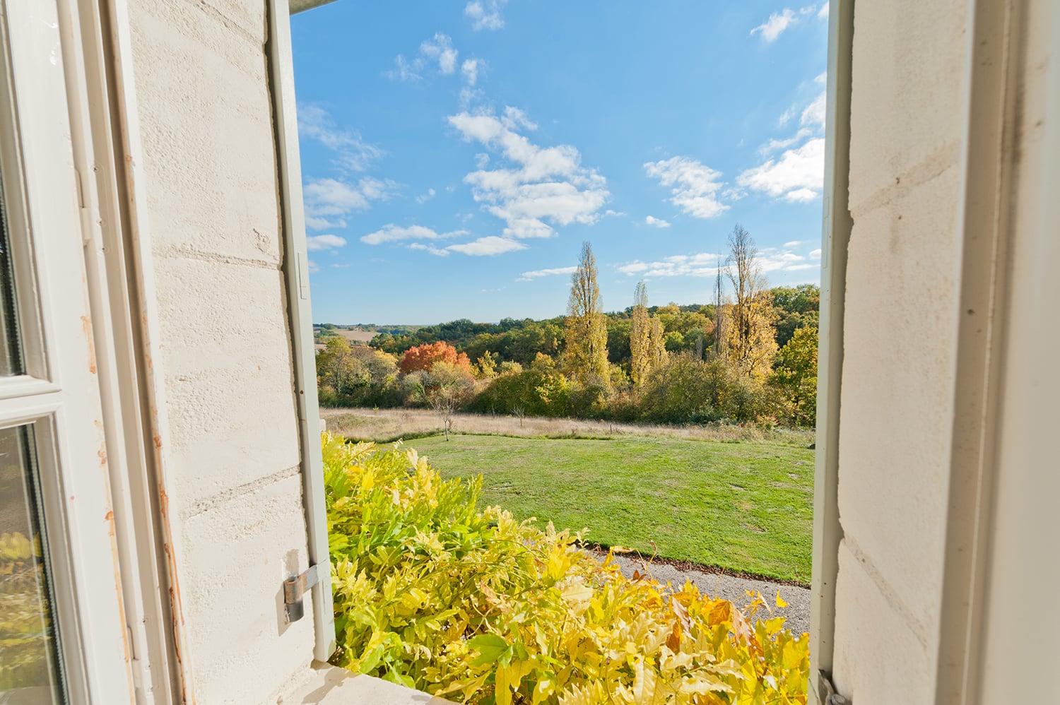 View from window