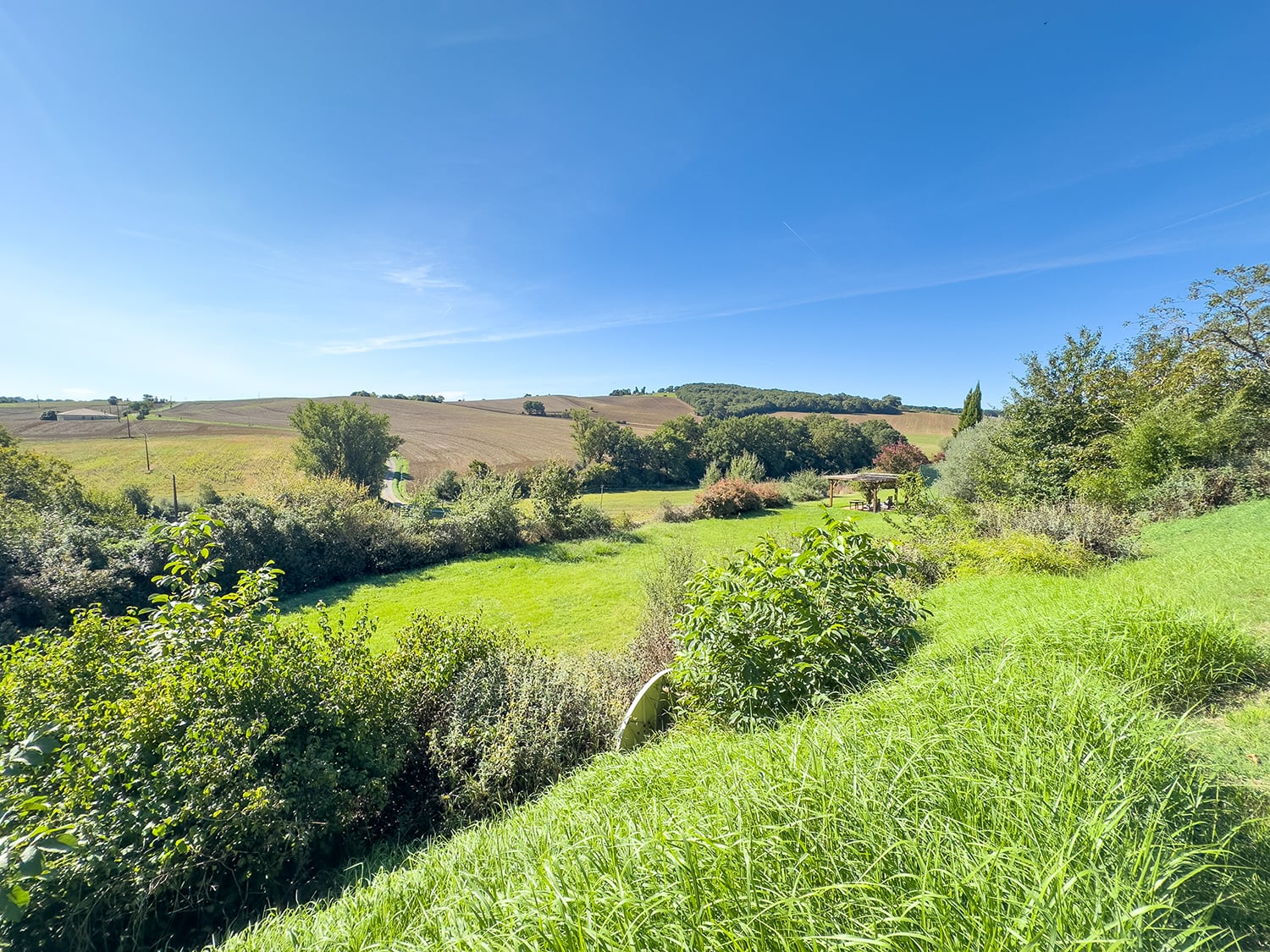 Countryside view