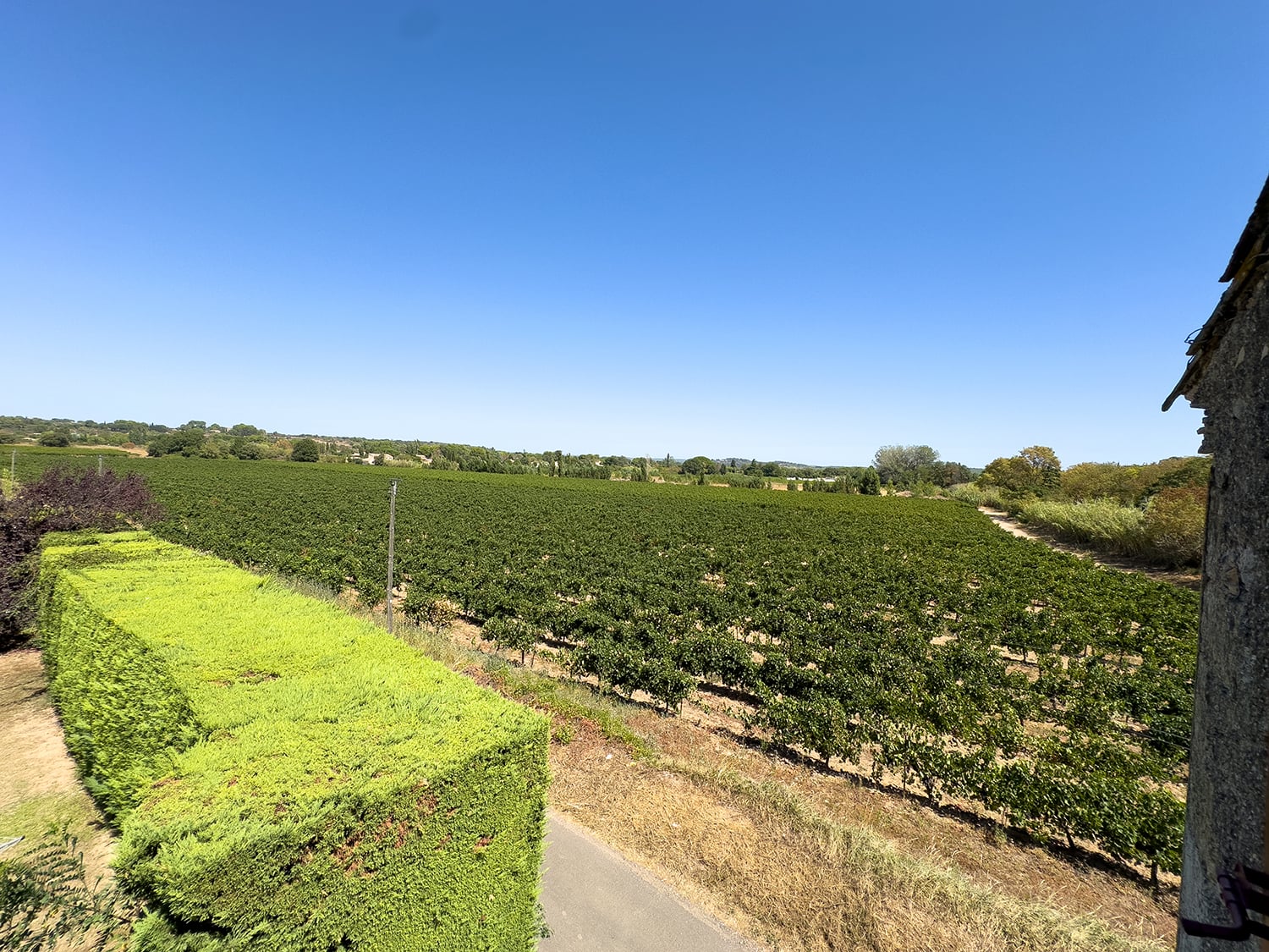 View from bedroom window