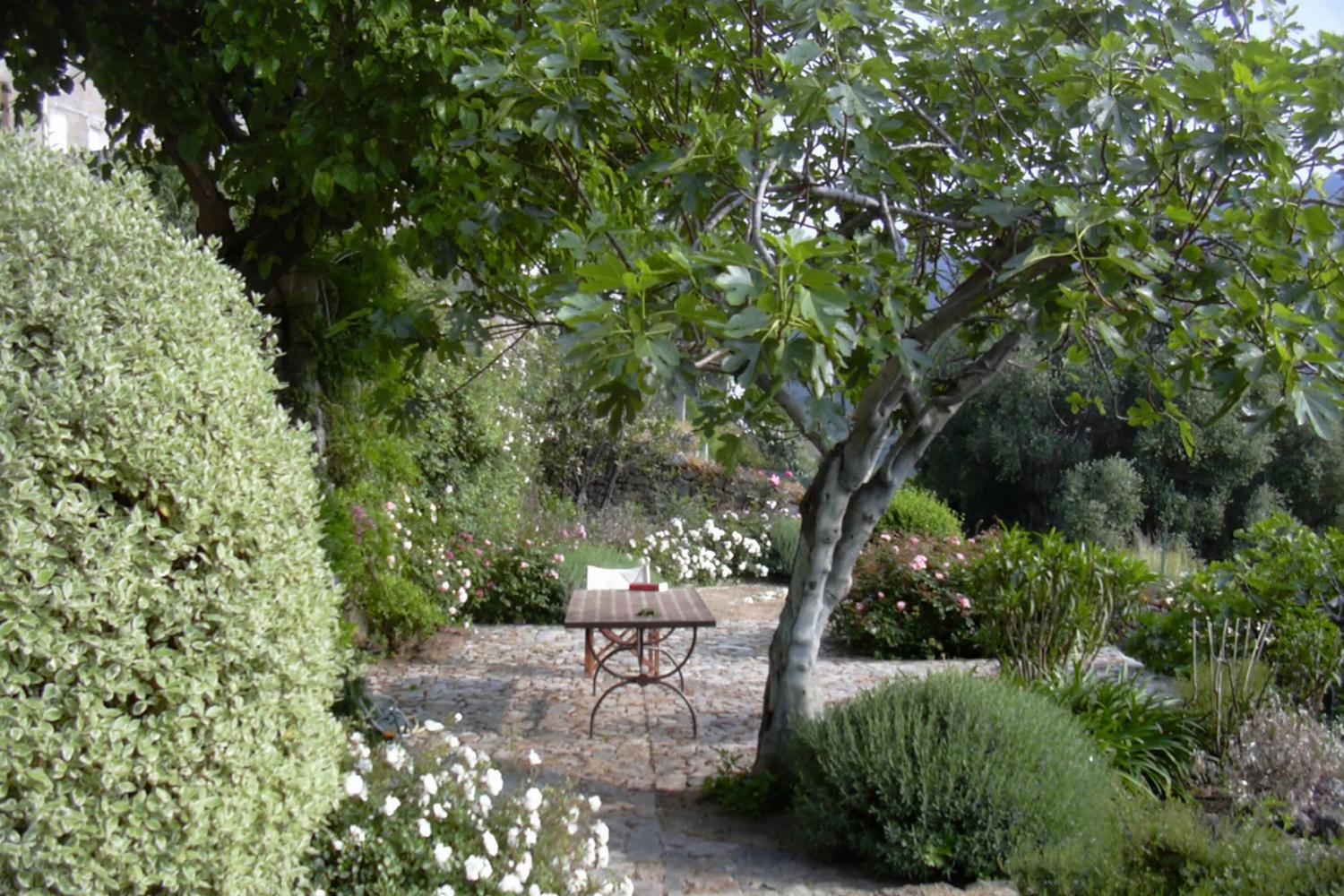 Garden in France