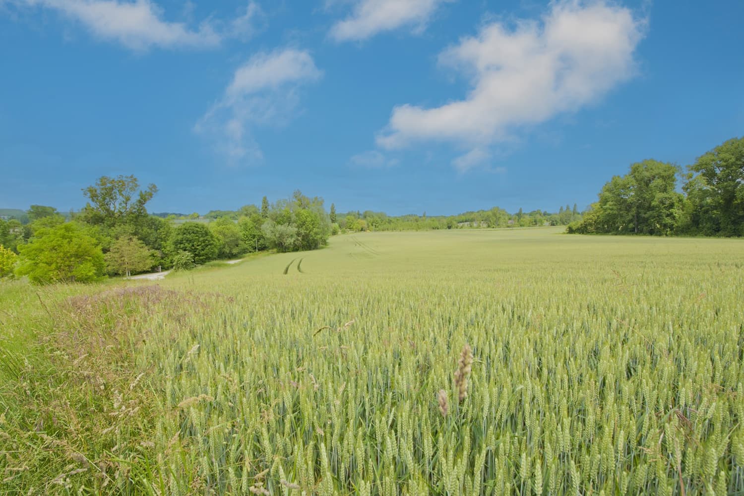 Dordogne countryside view