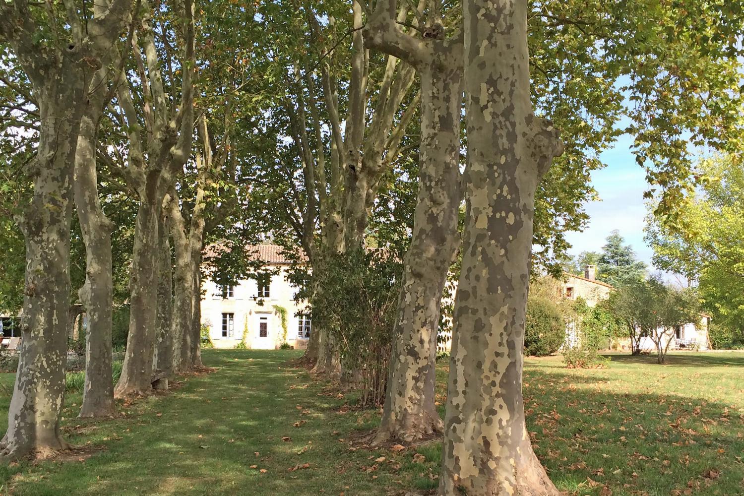 Garden | Rental home in Gironde