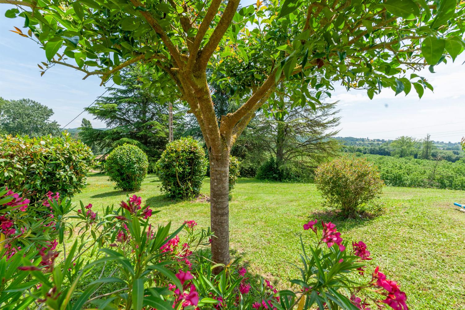 Garden | Rental home in Lot-et-Garonne