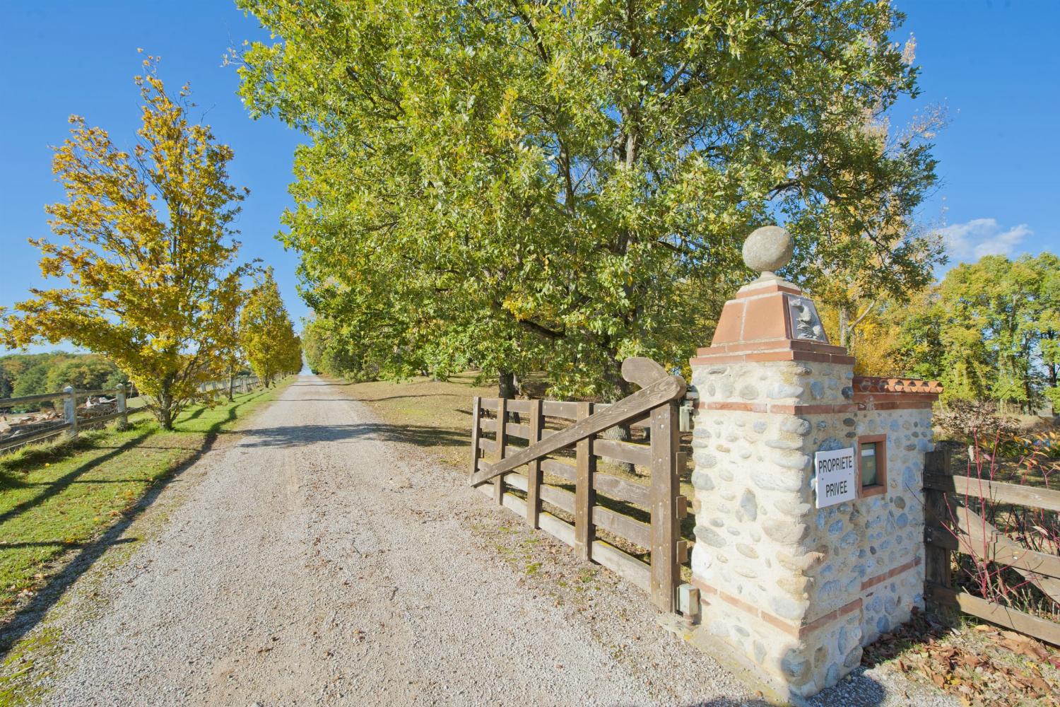 Château driveway