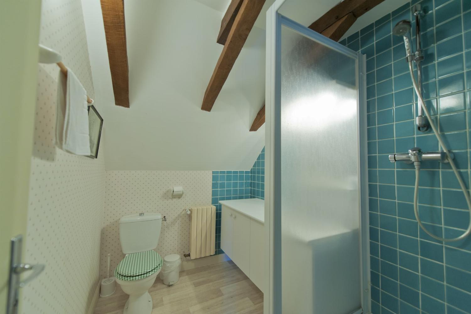 Bathroom | Holiday home in Loire